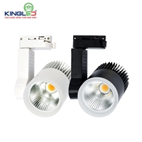 Đèn Rọi Ray 30W Beryl (DTL-30SS Series)