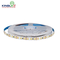 Đèn Led Dán DC12V – 12W (1 CUỘN 5 MÉT)